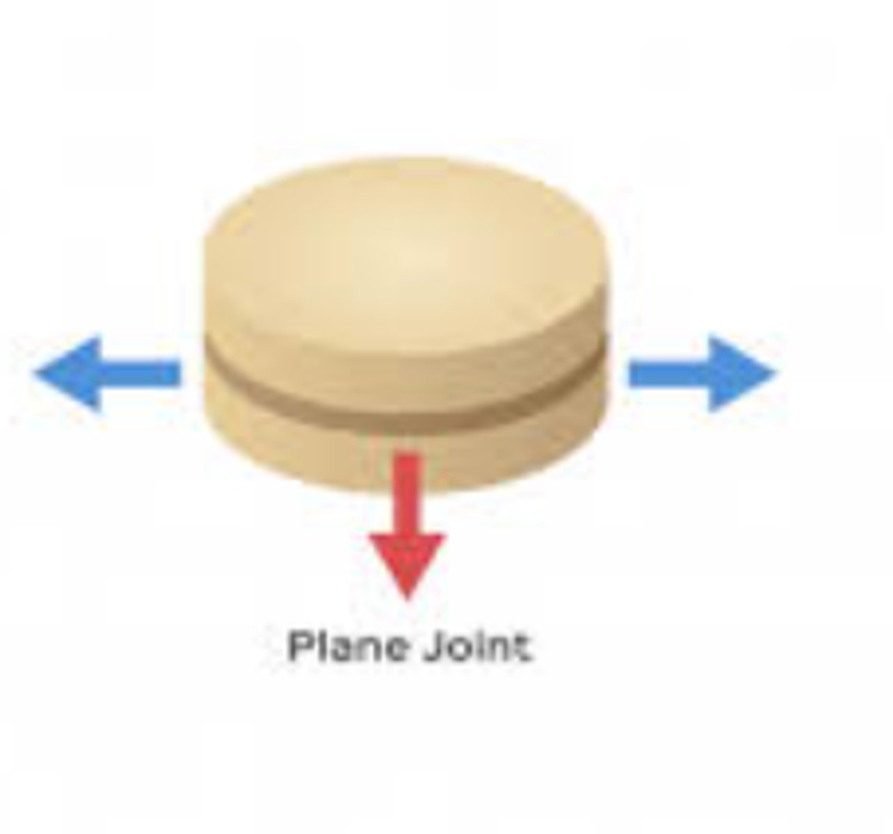 <p>allows only gliding movement.</p>