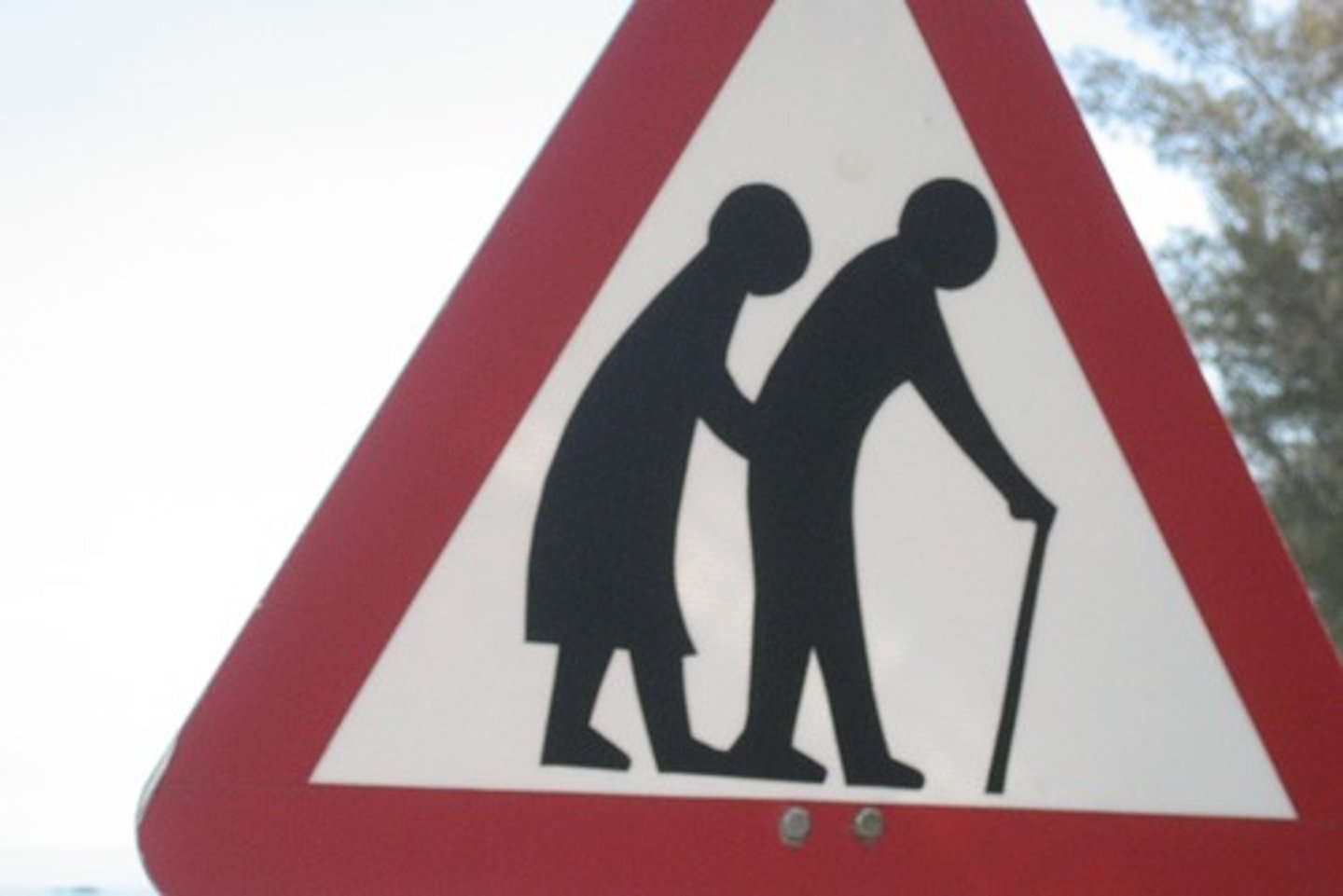 <p>those who rely on the working population for support e.g. the young and elderly</p>