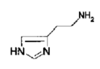<p>What NT is this?</p>