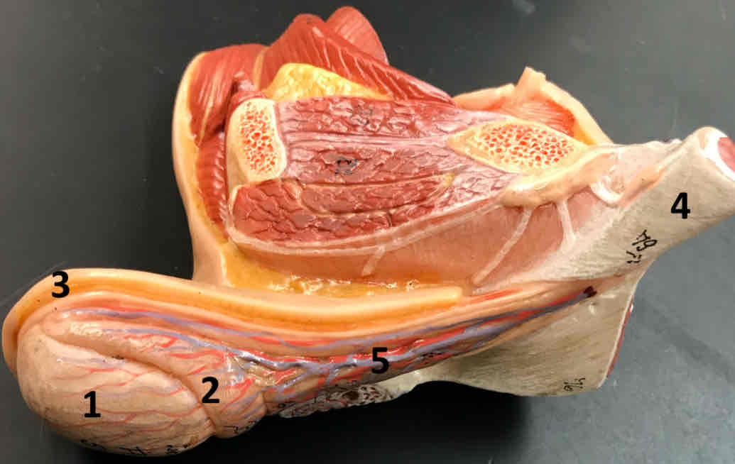 <p>2</p>