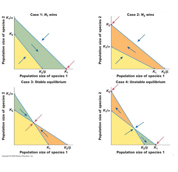 <p>Considering the figures below, which of the following statements is correct? A. The figures represent the outcomes of competition predicted by Tilman’s model of inter-specific competition B. The figures represent the outcomes of competition predicted by the Lotka Volterra model of inter-specific competition C. The blue arrows represent the rates of resource utilization of the two species D. The blue lines (without arrowheads) represent the zero growth isoclines for the two species E. B and D</p>
