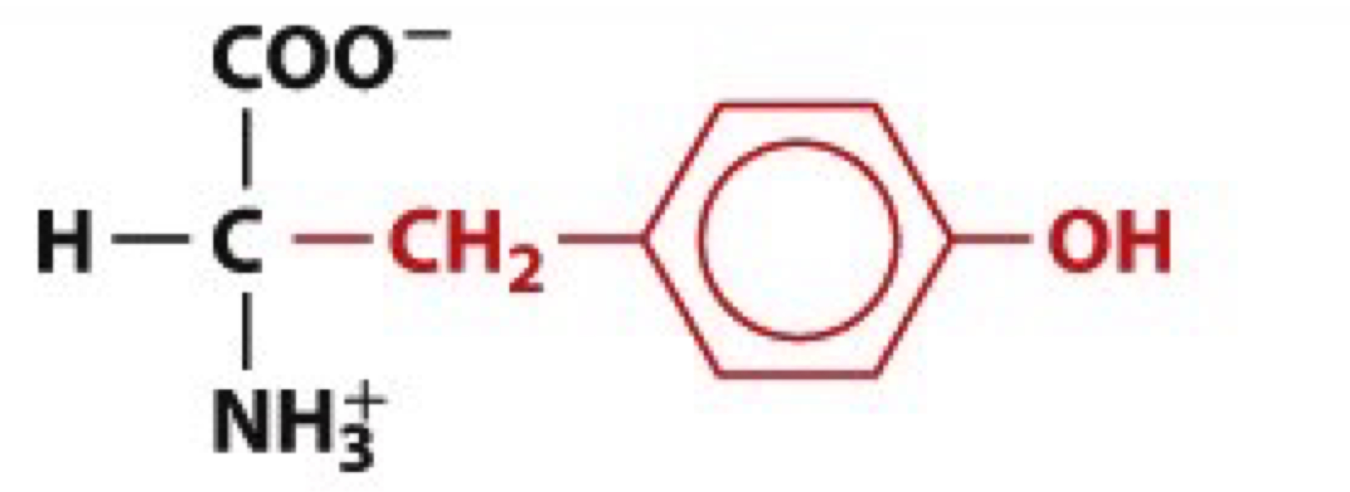 <ul><li><p>Tyr, Y</p></li><li><p>uncharged</p></li></ul><p></p>