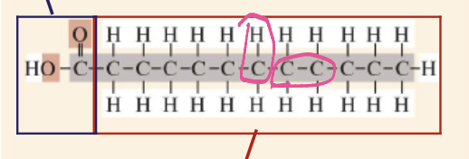<p><span>Lipids are made of carbon, hydrogen, and oxygen, usually in the form of fatty acids and glycerol. Some also include phosphate groups or ring structures, depending on the type, like phospholipids or steroids.</span></p>