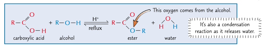 <ul><li><p>conc H<sub>2</sub>SO<sub>4 </sub>catalyst</p></li><li><p>esterification (condensation reaction)</p></li></ul><p></p>