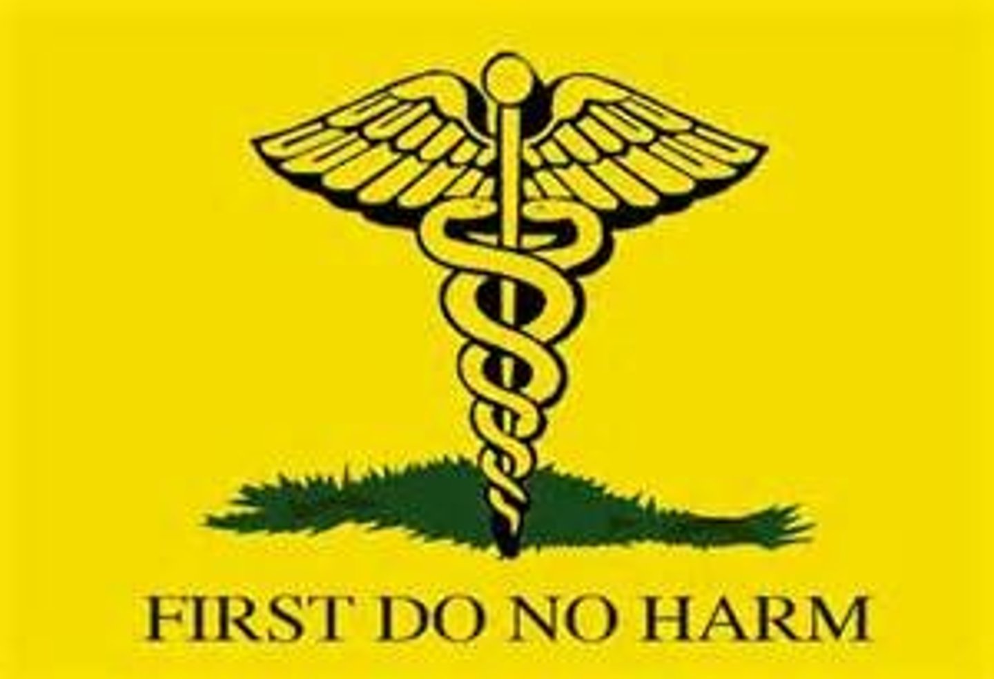 <p>the right of research participants to be protected from physical or psychological harm or stress</p>