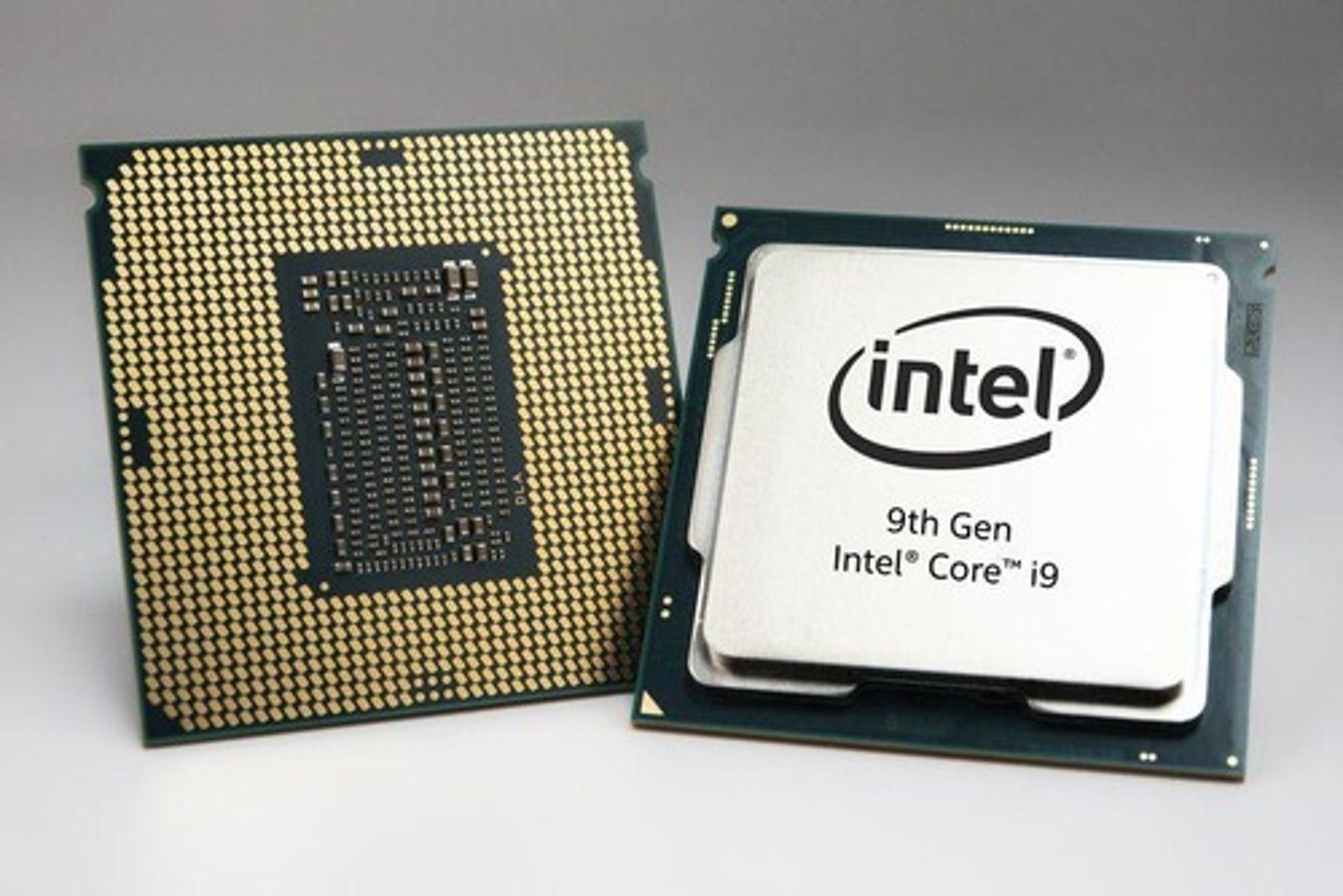<p>Central Processing Unit, runs processes.</p>