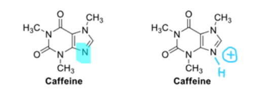 <p>the conjugate acid of caffeine (right) has pka of ____</p>