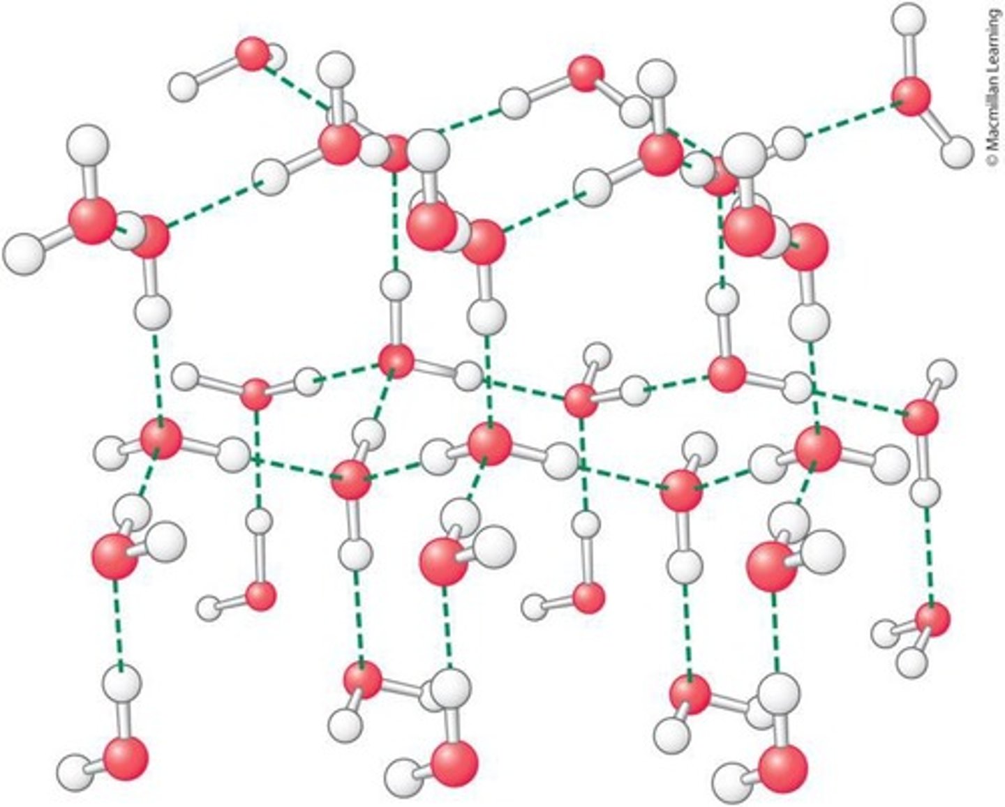 <p>Water is highly cohesive due to the large number of hydrogen bonds formed in liquid water.</p>