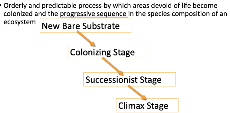 <p>predictable order of appearance and dominance of species, usually following a disturbance</p>