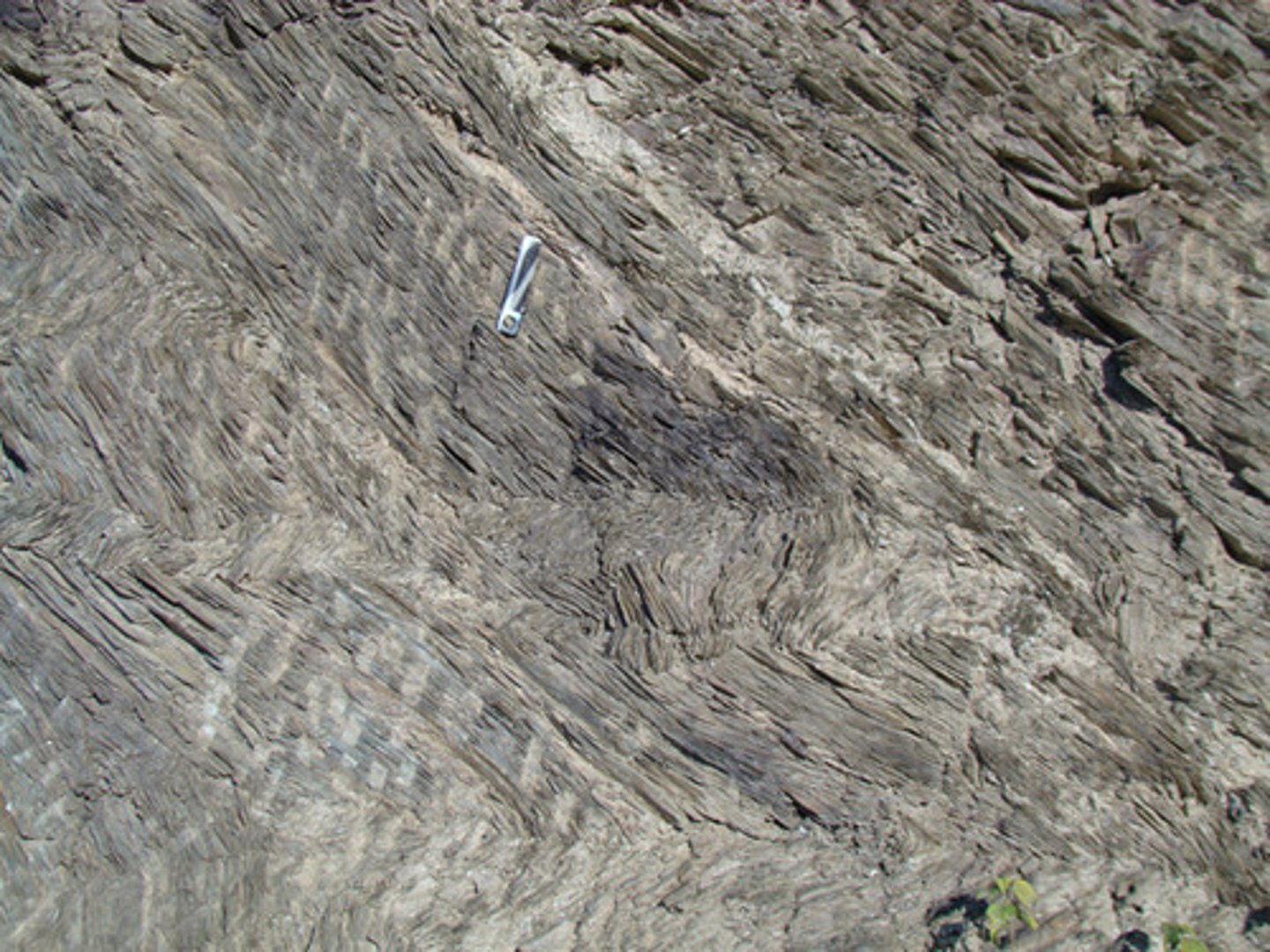 <p>Made up mainly of very fine-grained mica. Typically lustrous and sometimes wrinkled.</p>