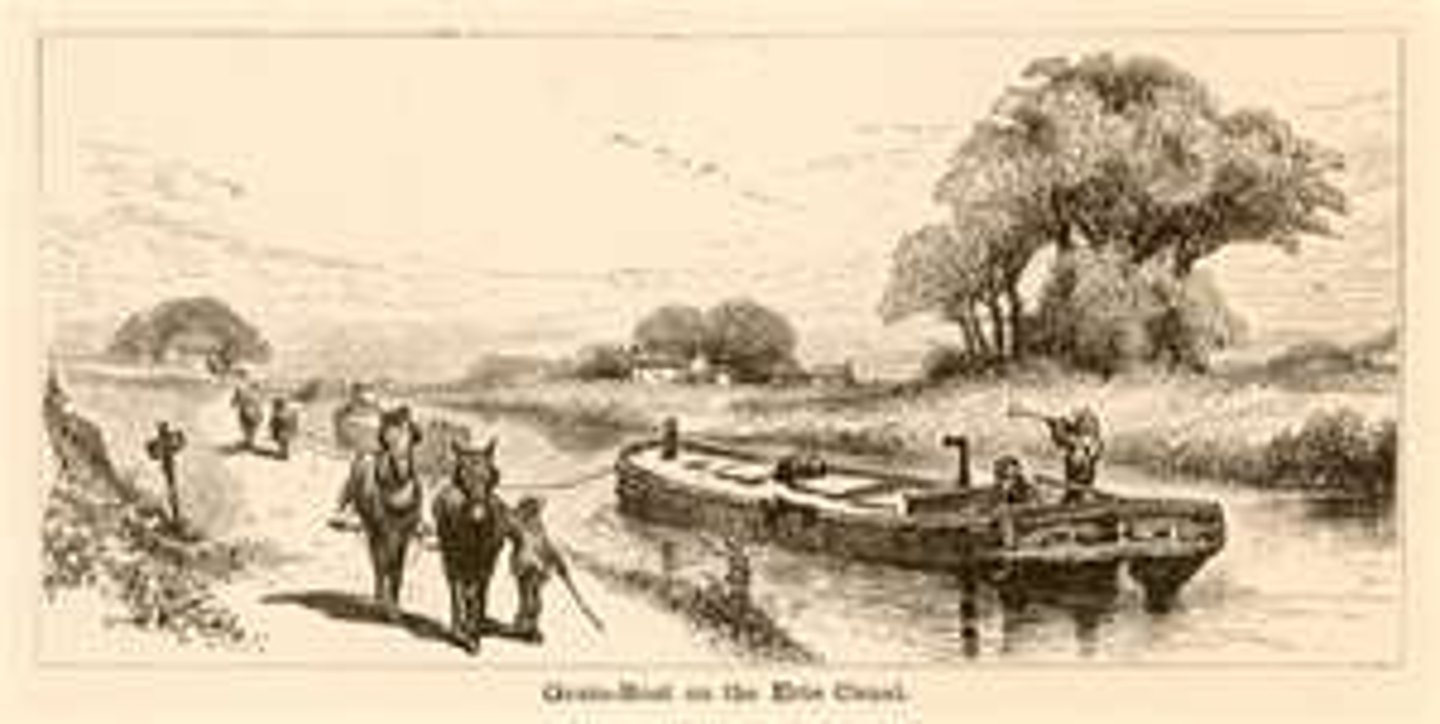 <p>350 mile canal built by the state of NY that stretched from Buffalo to Albany; revolutionized shipping in NY and opened up new markets (evidence of the Market Revolution)</p>