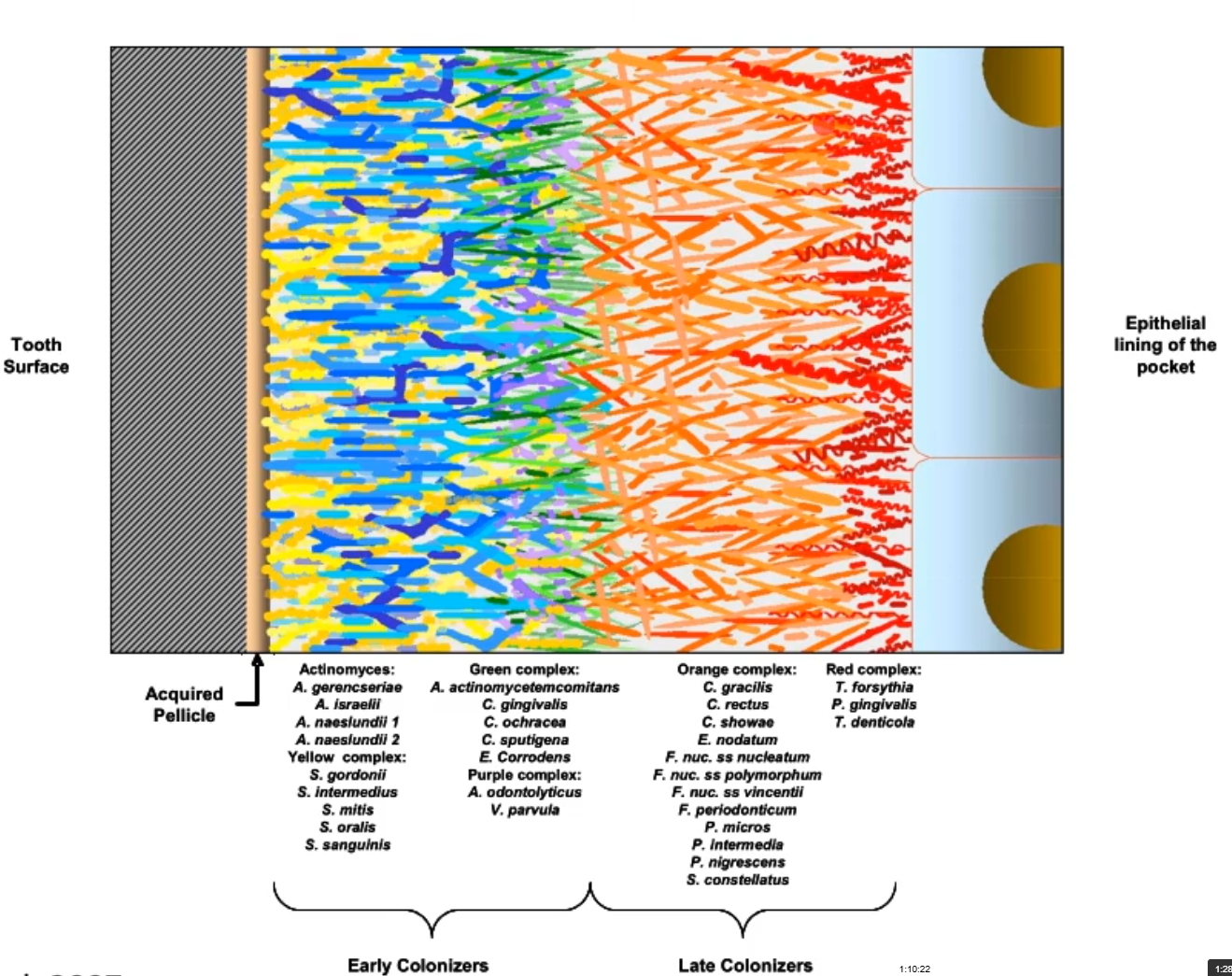 <p>what does this picture show u?</p>