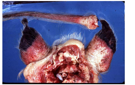 <p>What is this?</p>