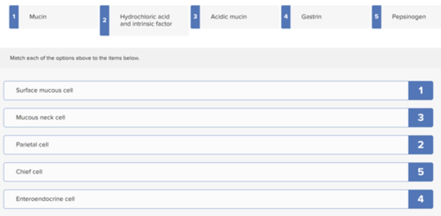 knowt flashcard image