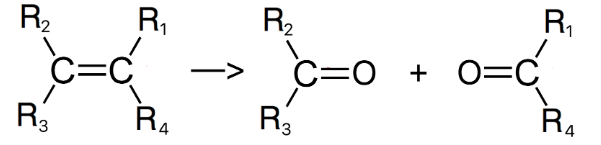 The C=C double bond is broken and replaced with 2 X C=O bonds

What happens next is based on whether the R groups are alkyl groups or hydrogen atoms