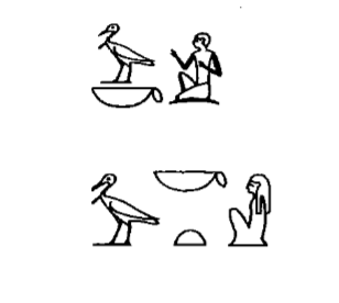 term image