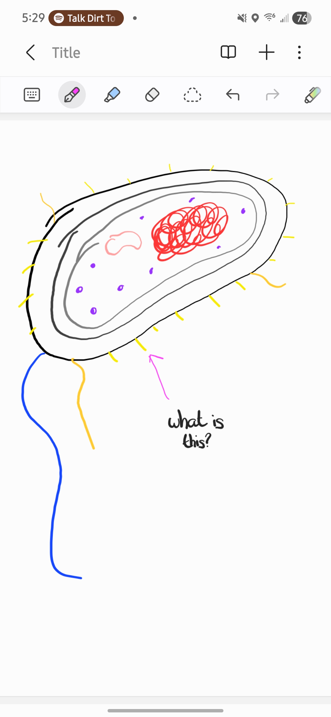 <p>What is this?</p>