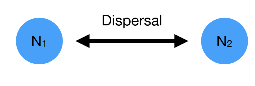 <p>mN<sub>2,t</sub>f(N<sub>2,t</sub>) and mN<sub>1,t</sub>f(N<sub>1,t</sub>)=Arriving</p><p>-mN<sub>1,t</sub>f(N<sub>1,t</sub>)/-mN<sub>2,t</sub>f(N<sub>2,t</sub>)=Departing</p>