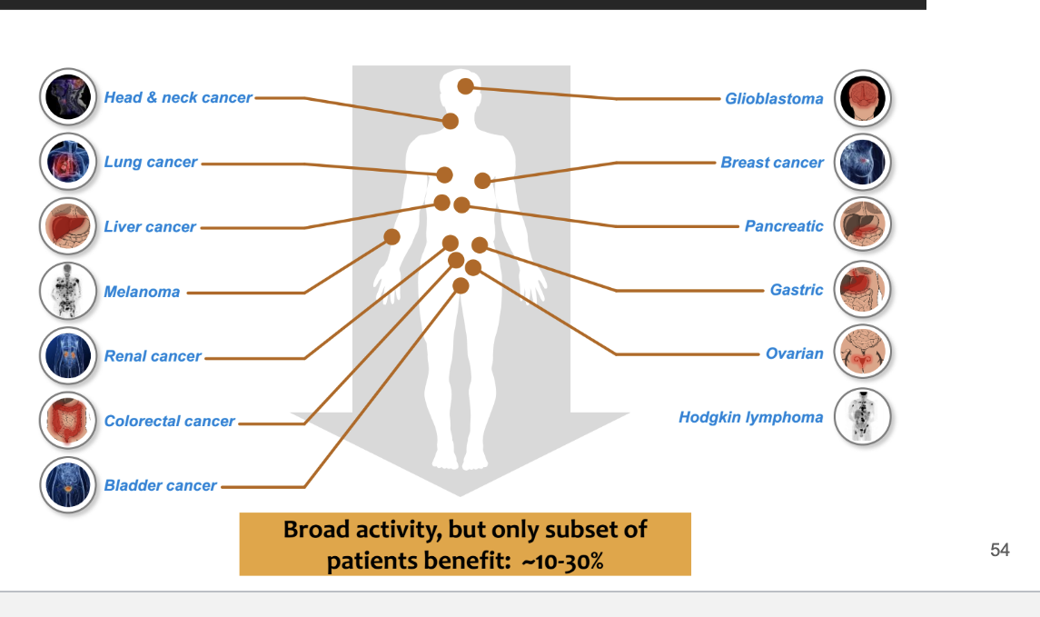 <ul><li><p>basically affects a bunch of cancer like</p><ul><li><p>head and neck cancer</p></li><li><p>lung cancer</p></li><li><p>gastric</p></li></ul></li><li><p>broad activity but only subset of patients benefit → ~10-30%</p></li></ul><p></p>