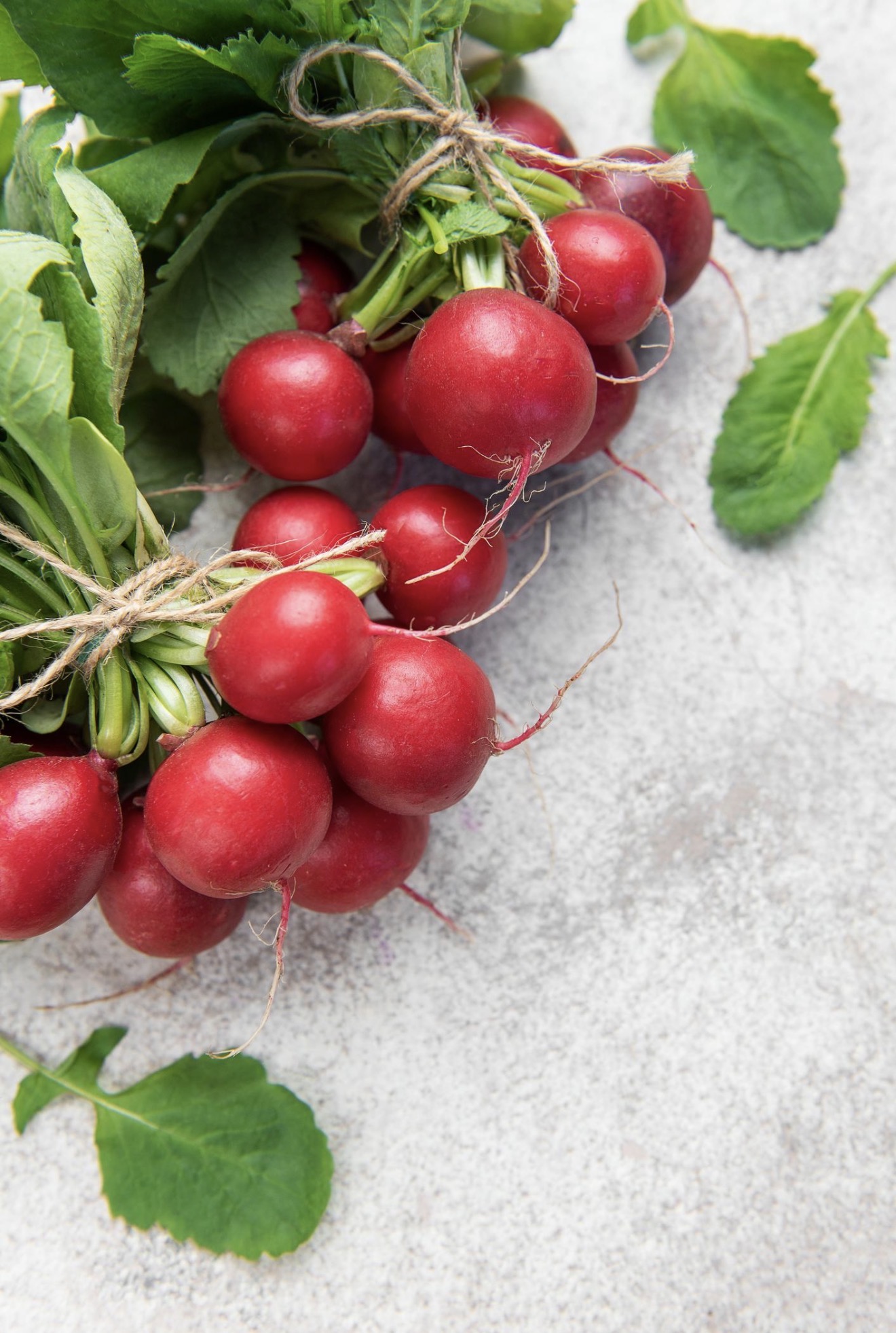 <p><strong>Radish</strong> 🫜</p><p></p><p></p><p></p><p><span data-name="check_mark_button" data-type="emoji">✅</span>PROPER<span data-name="check_mark_button" data-type="emoji">✅</span></p>