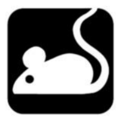 <p>Animal Safety</p>