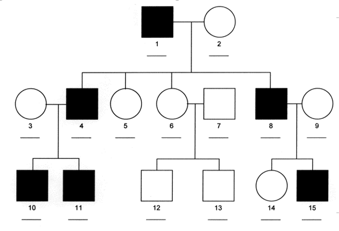 <p><strong>Y-linked inheritance</strong></p><p></p><ul><li><p>Only males are affected</p></li><li><p>Only males are carriers</p></li><li><p>If father is affected</p></li><li><p>100% chance son is affected</p></li><li><p>0% chance daughter is affected</p></li></ul>