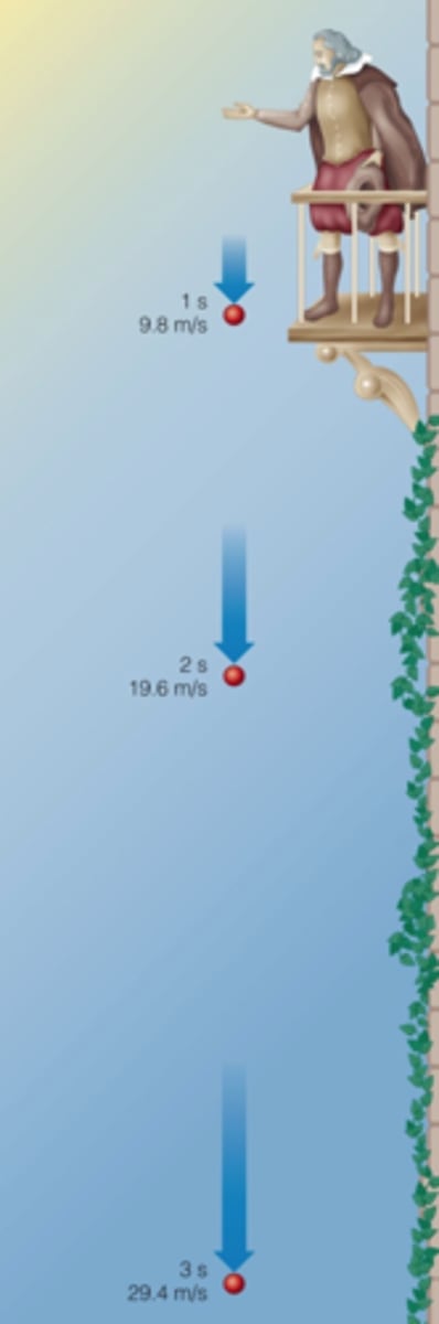 <p>acceleration due to gravity</p>