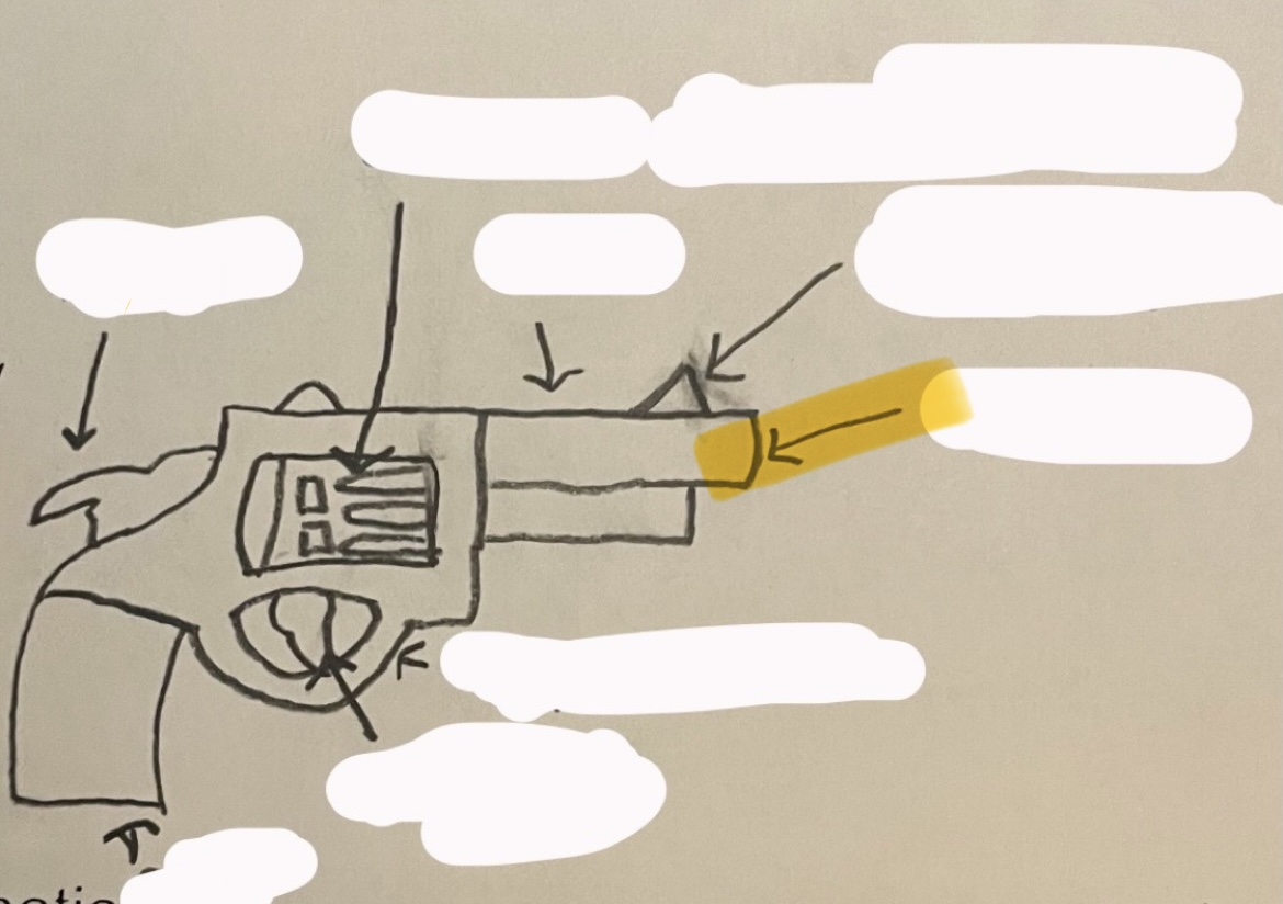 <p>what part of the revolver is this?</p>