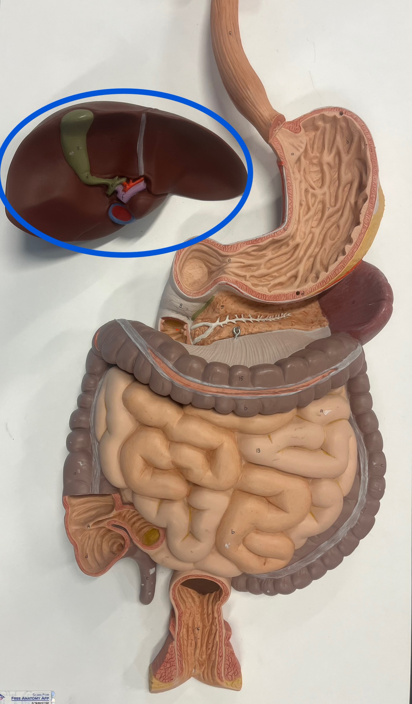 <p>what is this?</p>