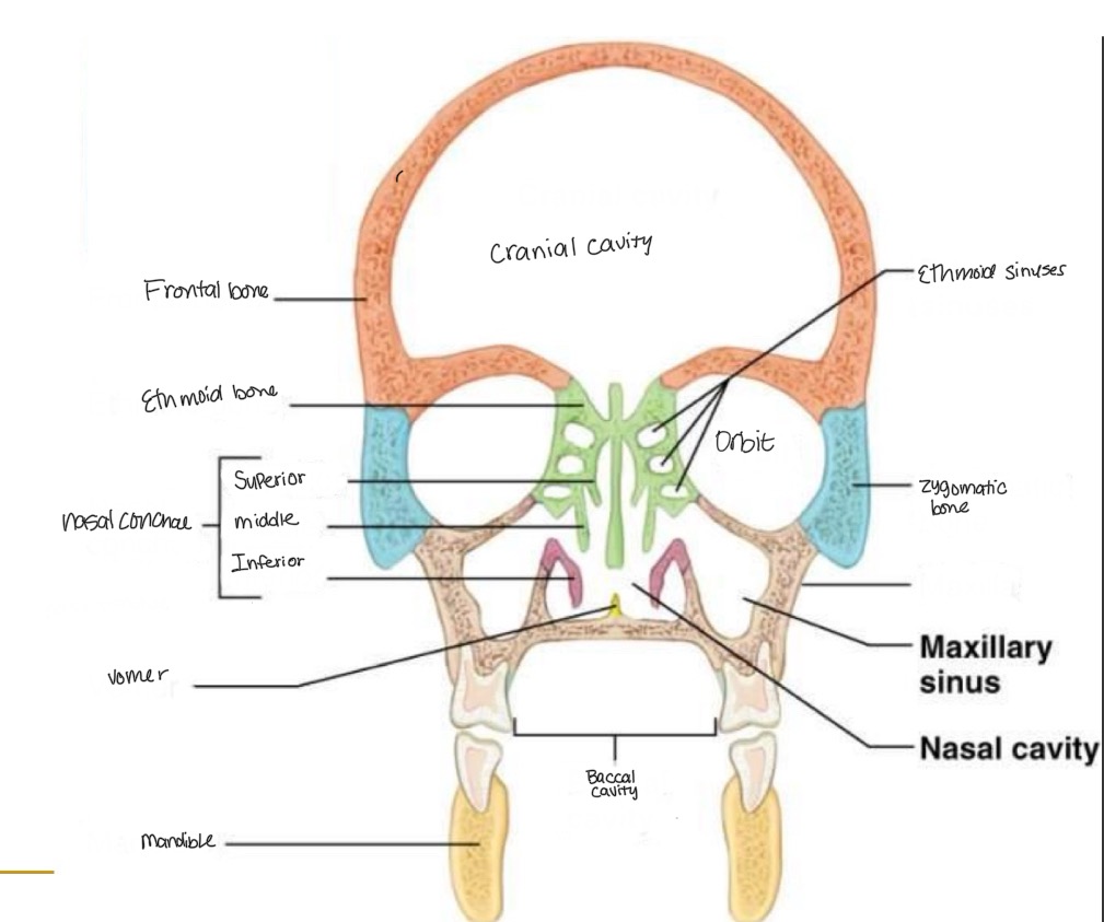 <p><br>label missing word on diagram</p>