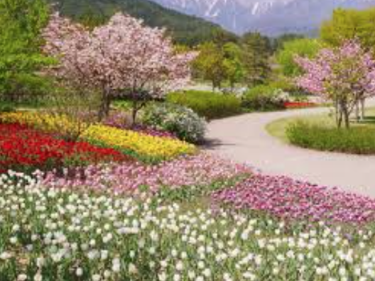 <p>Primavera</p>