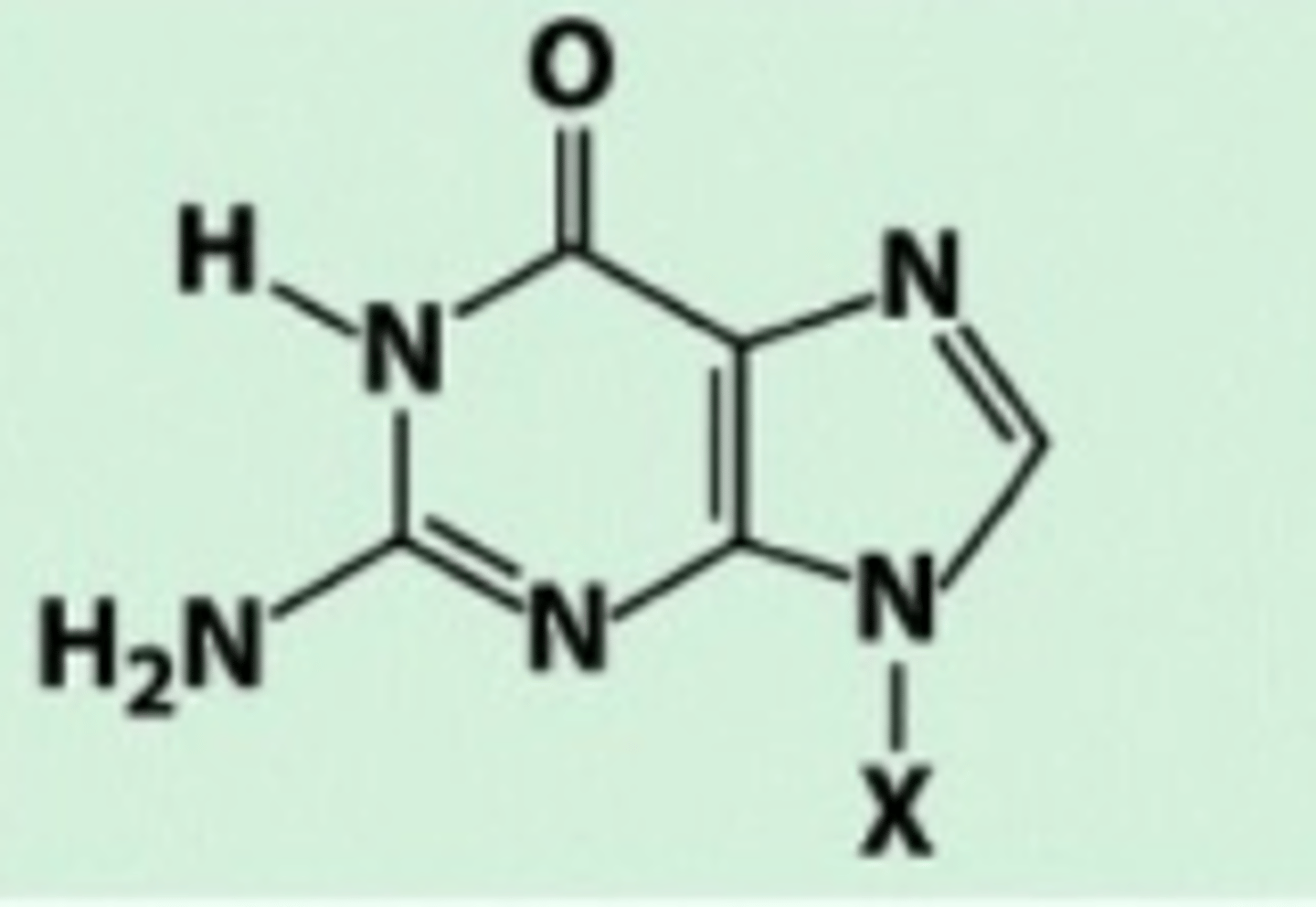 <p>Carbonyl group and amino group</p>