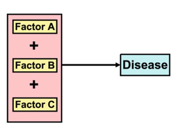 <p>The factor is required, but other factors must also be present.</p>
