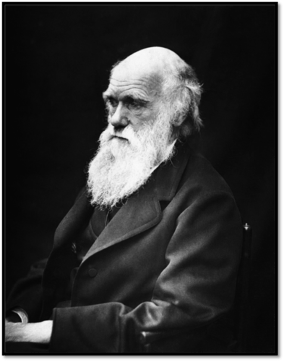 <p>A British naturalist who proposed the theory of evolution by natural selection.</p>