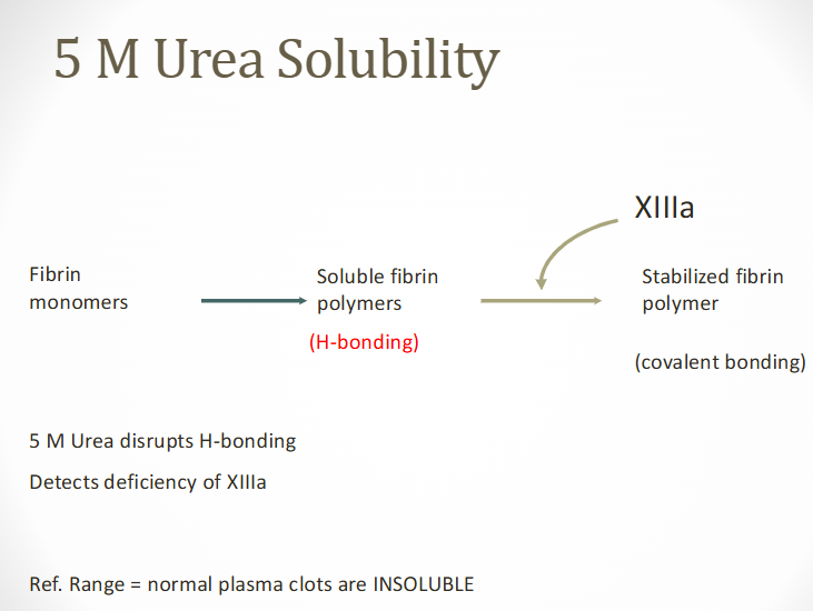 <p>aka 5m urea solubility test</p><ul><li><p>Factor XIII = fibrin stabilizing factor</p><ul><li><p>Necessary for stable fibrin clot formation</p></li><li><p>Occurs by forming covalent bonds between fibrin monomers</p></li></ul></li><li><p>Screening test principle</p><ul><li><p>Fibrin clot has increased solubility because of the lack of cross-linking of fibrin polymer in absence of FXIII</p></li></ul></li></ul><p></p>