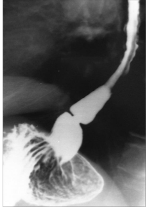 <p>What is this </p>