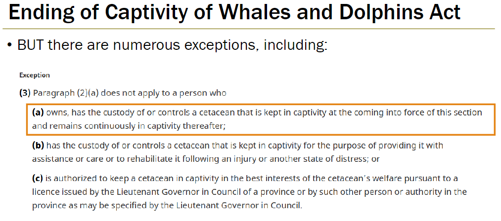 <p><strong>Exceptions to Section 445.2</strong><br> Paragraph (2)(a) does not apply to a person who:<br>  Owns, has custody of, or controls a cetacean that was already in captivity when this law came into force and remains continuously in captivity<br>  Has custody of or controls a cetacean kept in captivity for assistance, care, or rehabilitation following injury or distress<br>  Is authorized to keep a cetacean in captivity for its welfare under a licence issued by the Lieutenant Governor in Council of a province or another specified provincial authority</p>