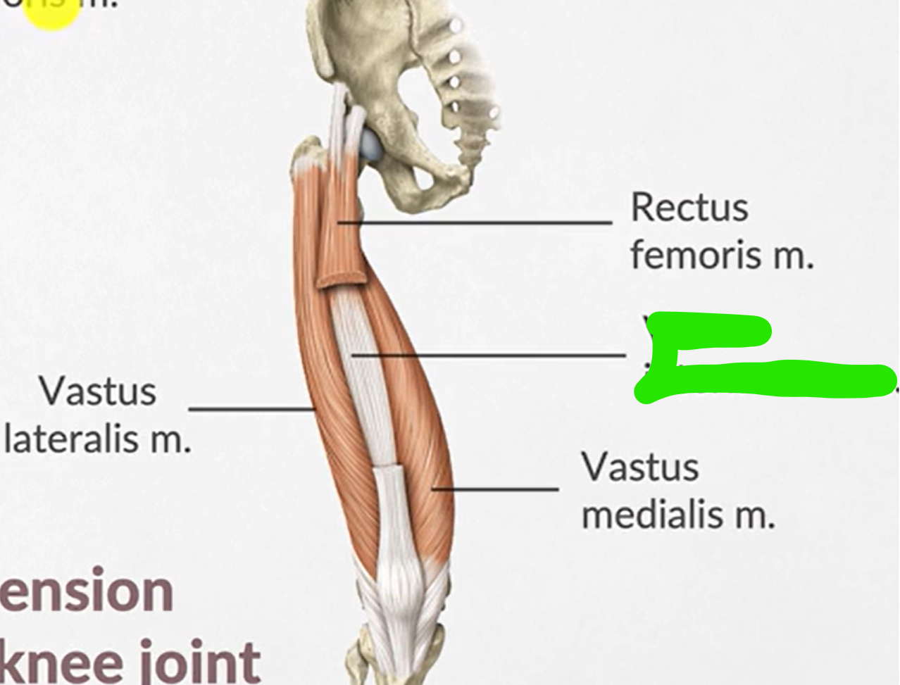 term image