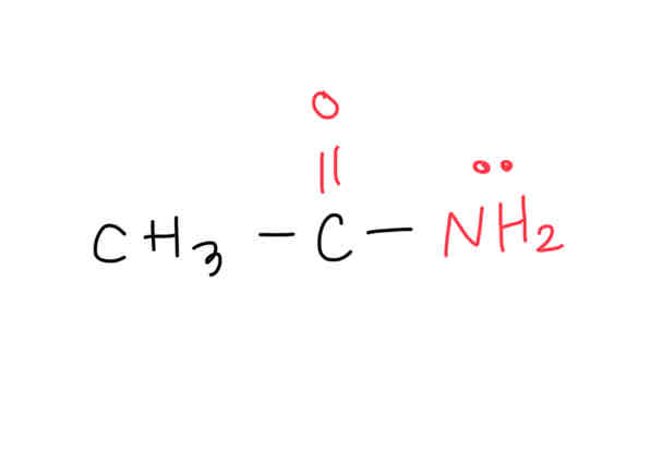 <ul><li><p>nitrogen atom + = O</p></li><li><p>heating carboxylic acid + ammonium/amine (1/2)</p></li><li><p>“-oic acid” → “-amide”</p></li></ul><p></p>