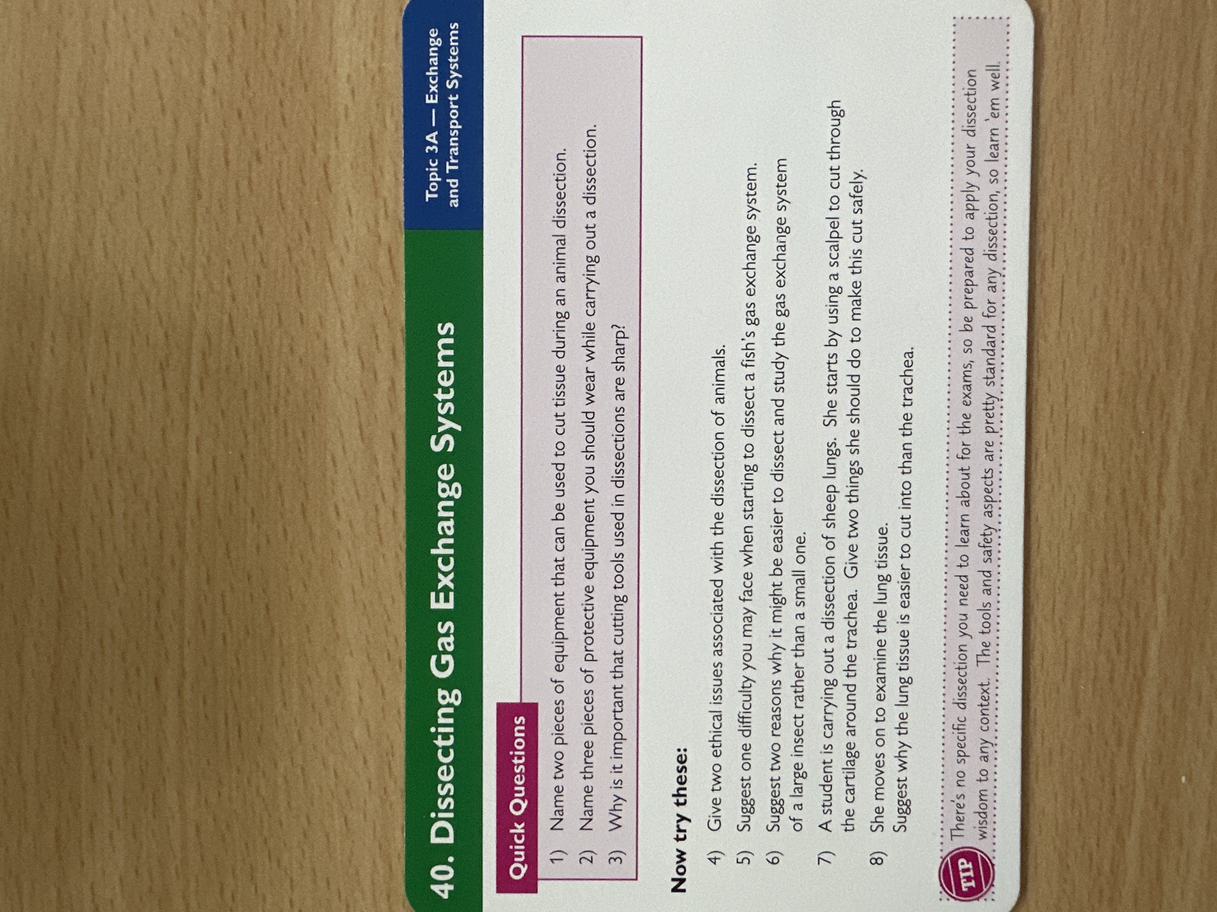 Dissecting gas exchange systems 