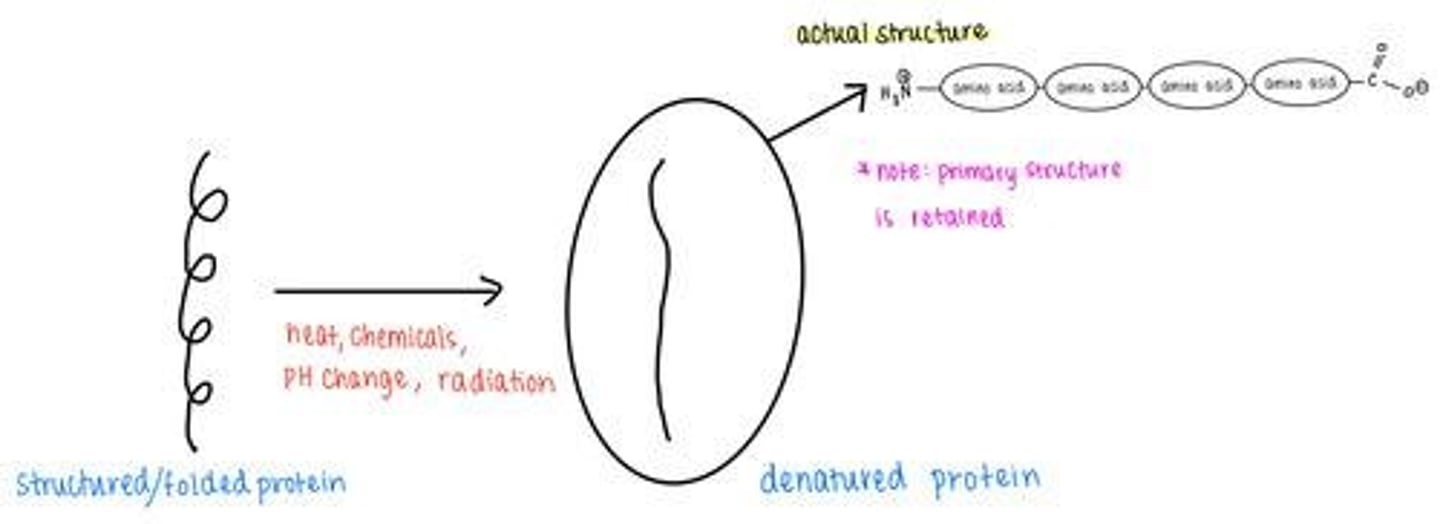 <p>Excess temperature, chemicals, pH changes, radiation.</p>