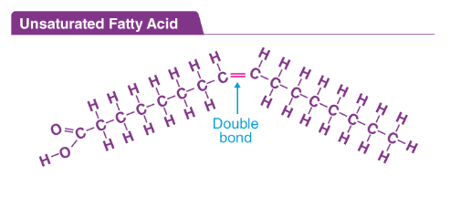 <p>unsaturated fats</p>