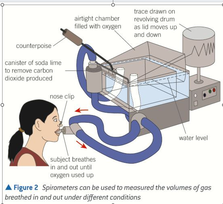 <p>Can give readings of TV, VC, Breathing rate and oxygen uptake and produces a graph</p>