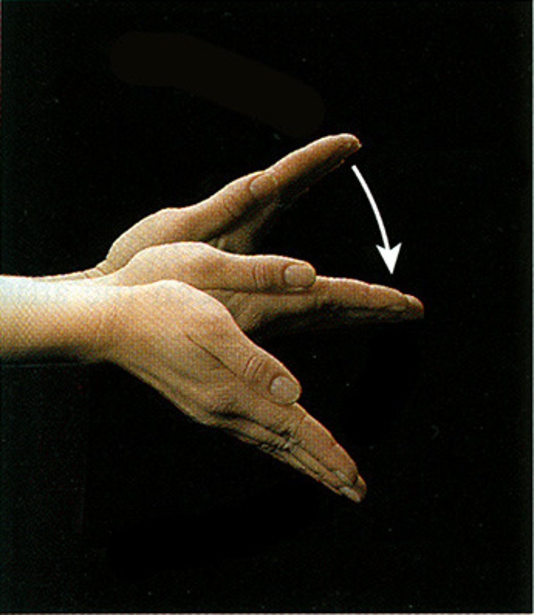 <p>identify the action</p>