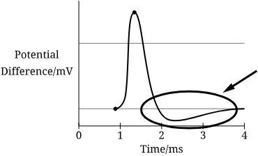 <p>Which psych principle is represented in the area highlighted in the graph</p>