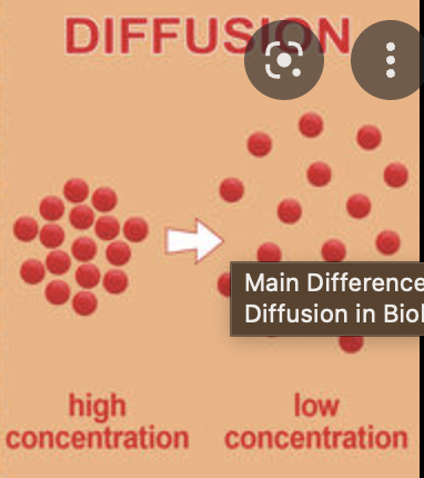 <p>a process where particles move from an area where they are more concentrated to an area where they are less concentrated</p>