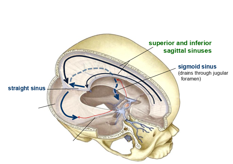 <p>what is this?</p>