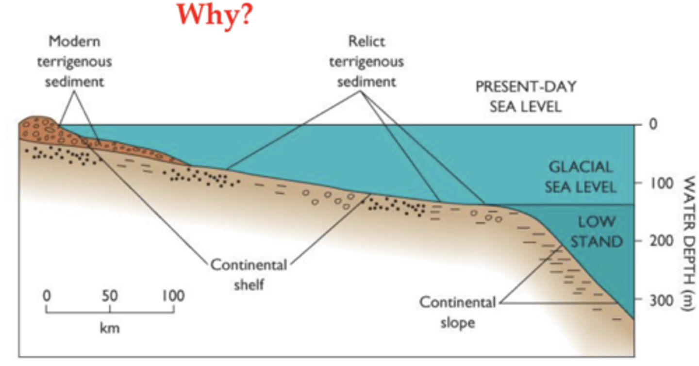 <p>Change in sea level moves river mouth</p>