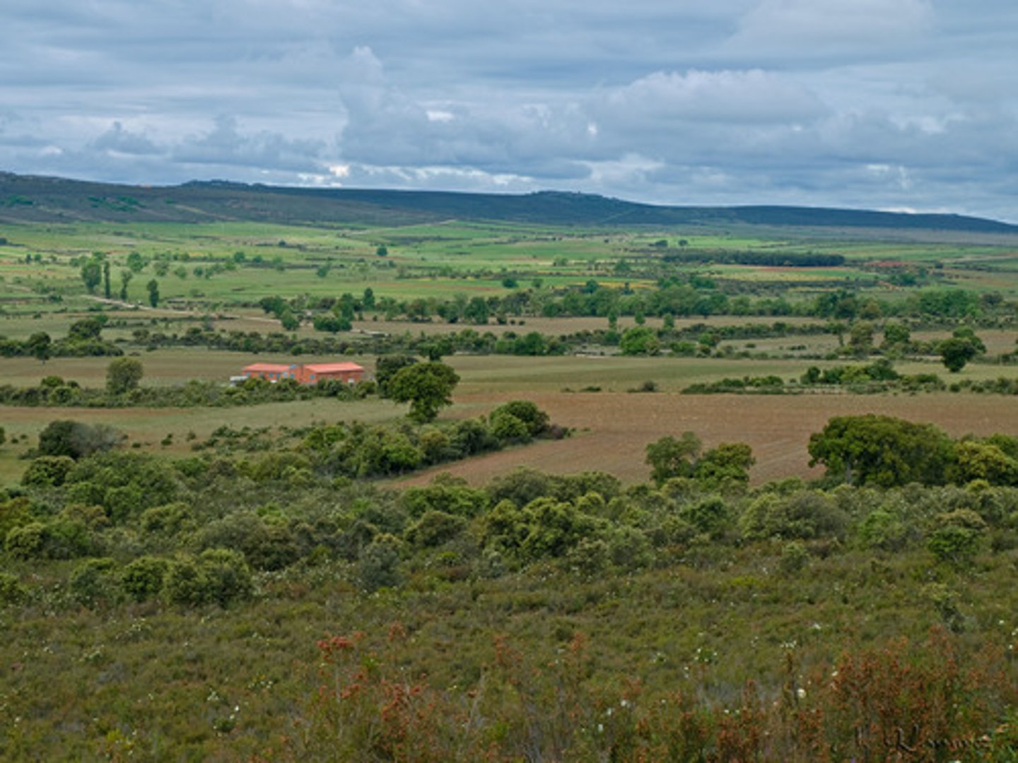 <p>el paisaje</p>