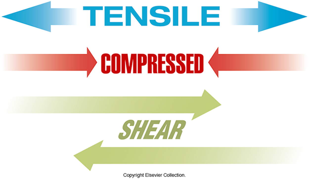 <p>Tensile: the ability of a material to withstand tension or pulling forces without breaking.</p><p>Compressed: subjected to a squeezing or pushing force that reduces its volume.</p><p>Shear: the ability of a material to withstand forces that cause one part of the material to slide past another. </p>